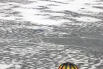 2009_balloontrophy_zell_12.jpg